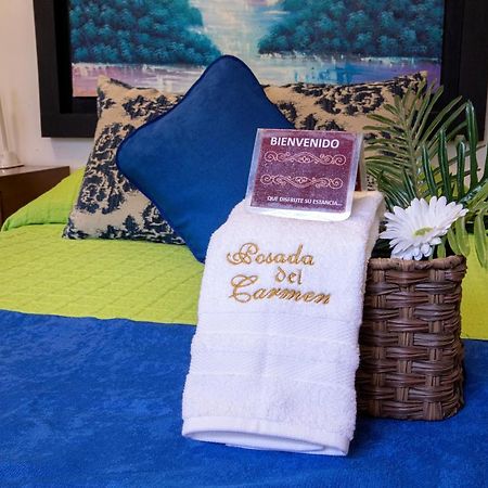 Hotel Posada Del Carmen San Luis Potosí Dış mekan fotoğraf