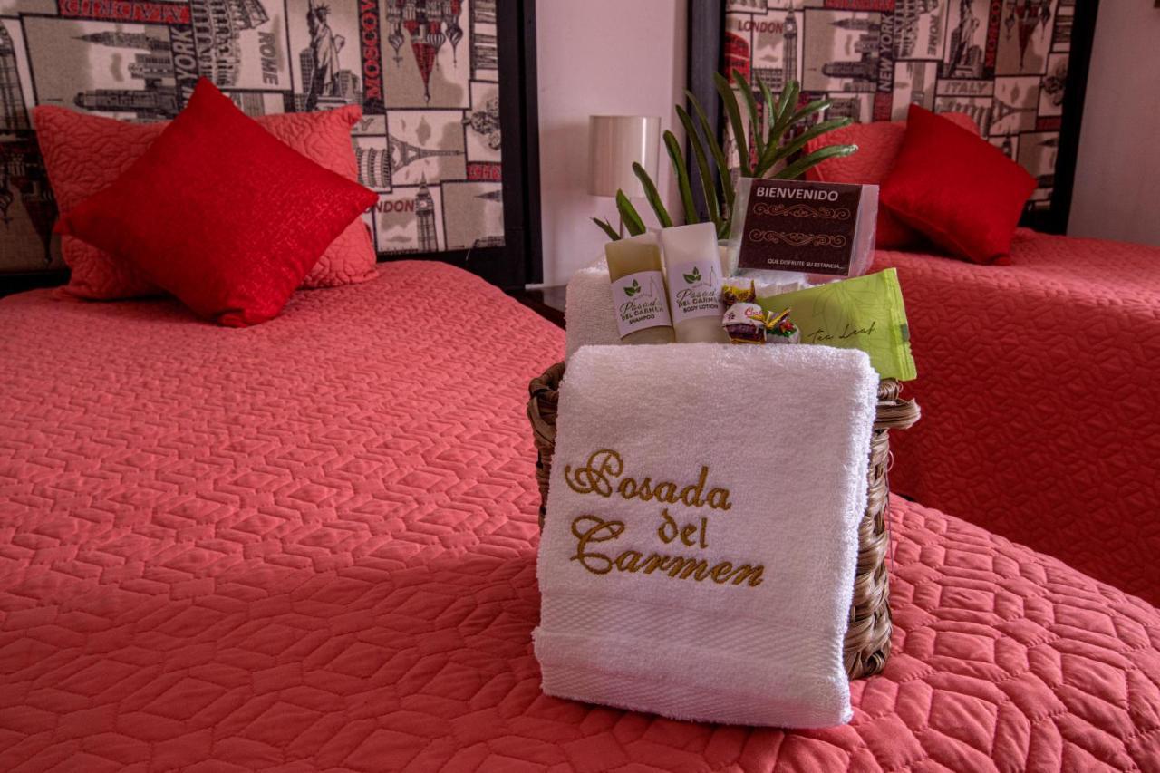 Hotel Posada Del Carmen San Luis Potosí Dış mekan fotoğraf