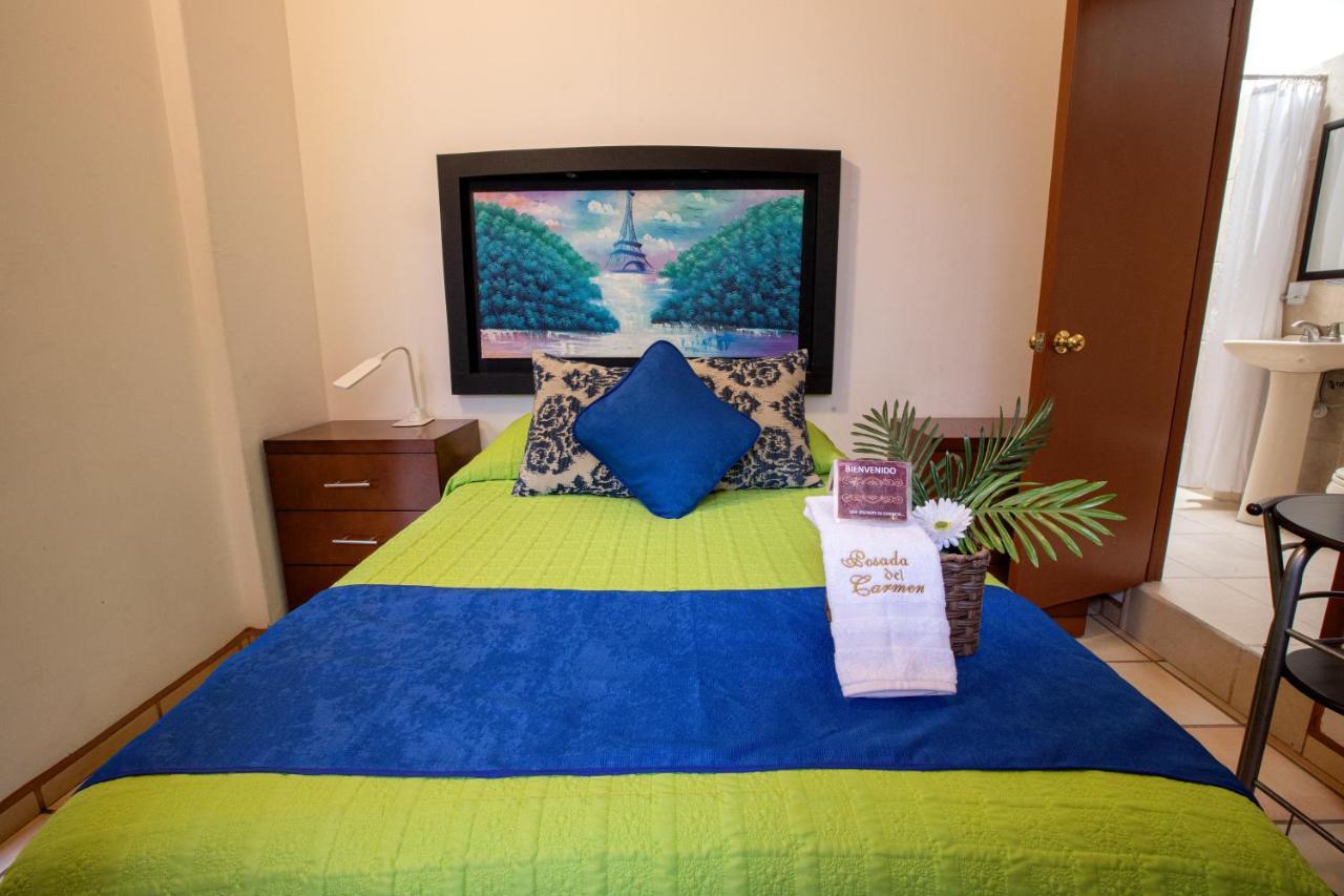 Hotel Posada Del Carmen San Luis Potosí Dış mekan fotoğraf